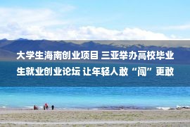 大学生海南创业项目 三亚举办高校毕业生就业创业论坛 让年轻人敢“闯”更敢“创”