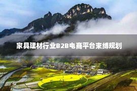  家具建材行业B2B电商平台束缚规划