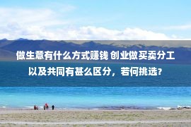 做生意有什么方式赚钱 创业做买卖分工以及共同有甚么区分，若何挑选？