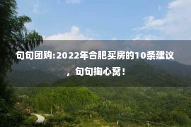 句句团购:2022年合肥买房的10条建议，句句掏心窝！