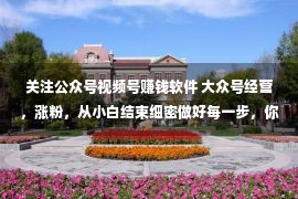 关注公众号视频号赚钱软件 大众号经营，涨粉，从小白结束细密做好每一步，你便是大神！