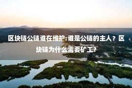 区块链公链谁在维护:谁是公链的主人？区块链为什么需要矿工？