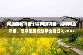 闲鱼赚钱项目诈骗 网赚项目：揭秘闲鱼项目，信息差赚钱新手也能日入200+