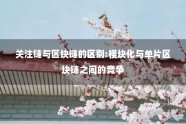 关注链与区块链的区别:模块化与单片区块链之间的竞争