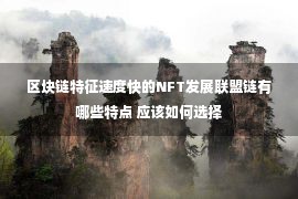 区块链特征速度快的NFT发展联盟链有哪些特点 应该如何选择