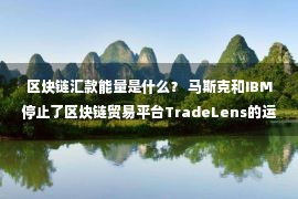 区块链汇款能量是什么？ 马斯克和IBM停止了区块链贸易平台TradeLens的运营