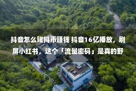 抖音怎么赌抖币赚钱 抖音16亿播放，刷屏小红书，这个「流量密码」是真的野……