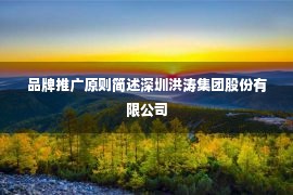 品牌推广原则简述深圳洪涛集团股份有限公司