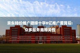 京东特价推广穗绿十字8亿推广费背后:众多服务商相关性