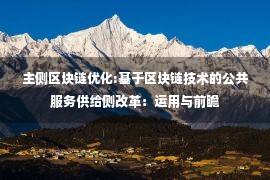 主侧区块链优化:基于区块链技术的公共服务供给侧改革：运用与前瞻