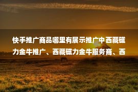 快手推广商品哪里有展示推广中西藏磁力金牛推广、西藏磁力金牛服务商、西藏磁力金牛代理商