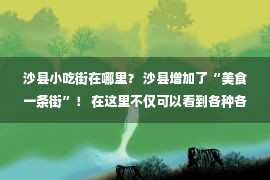 沙县小吃街在哪里？ 沙县增加了“美食一条街”！ 在这里不仅可以看到各种各样的表演 还可以品尝到地道的小吃！