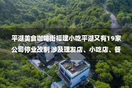 平湖美食咖啡街福建小吃平湖又有19家公司停业改制 涉及理发店、小吃店、餐厅等→