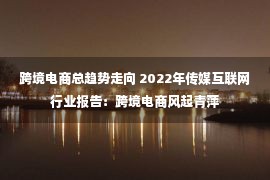 跨境电商总趋势走向 2022年传媒互联网行业报告：跨境电商风起青萍