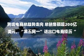 跨境电商总趋势走向 总销售额超200亿美元，“黑五网一”进出口电商经历“冰火两重天”