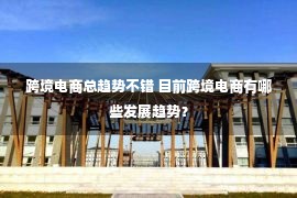 跨境电商总趋势不错 目前跨境电商有哪些发展趋势？