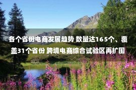 各个省份电商发展趋势 数量达165个、覆盖31个省份 跨境电商综合试验区再扩围