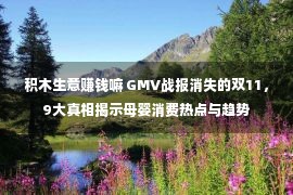 积木生意赚钱嘛 GMV战报消失的双11，9大真相揭示母婴消费热点与趋势