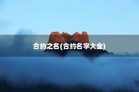 合约之名(合约名字大全)