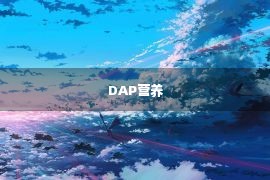 DAP营养