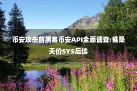 币安攻击前黑客币安API全面调查:谁是天价SYS后续