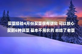 买菜经验4月份买菜很有讲究 可以放心买到6种蔬菜 基本不用农药 总结了老菜农的经验