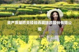 资产质量把关经验西藏旅游股份有限公司