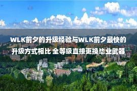 WLK前夕的升级经验与WLK前夕最快的升级方式相比 全等级直接更换毕业武器159紫装！ 不要错过超市福利