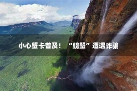 小心蟹卡普及！ “螃蟹”遭遇诈骗