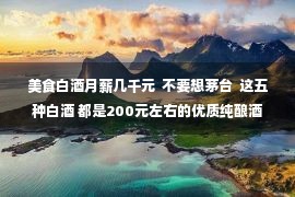 美食白酒月薪几千元  不要想茅台  这五种白酒 都是200元左右的优质纯酿酒