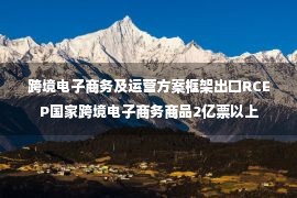 跨境电子商务及运营方案框架出口RCEP国家跨境电子商务商品2亿票以上