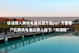 快速接入跨境电商运营方案ppt 方便客户在跨境电商运营上按下“加速键”