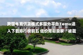 跨国电商供货模式多国外平台Temu进入下载排行榜前五 低价背后卖家“被裁”了吗？