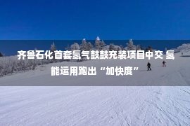  齐鲁石化首套氢气鼓鼓充装项目中交 氢能运用跑出“加快度”