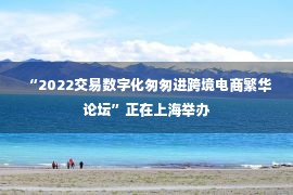  “2022交易数字化匆匆进跨境电商繁华论坛”正在上海举办