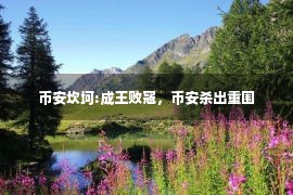 币安坎坷:成王败寇，币安杀出重围