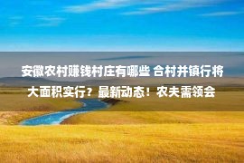 安徽农村赚钱村庄有哪些 合村并镇行将大面积实行？最新动态！农夫需领会