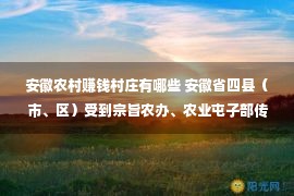 安徽农村赚钱村庄有哪些 安徽省四县（市、区）受到宗旨农办、农业屯子部传递称颂！