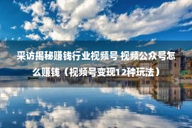 采访揭秘赚钱行业视频号 视频公众号怎么赚钱（视频号变现12种玩法）