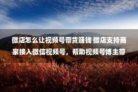 微店怎么让视频号带货赚钱 微店支持商家接入微信视频号，帮助视频号博主带货变现