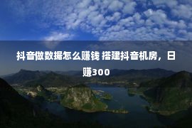 抖音做数据怎么赚钱 搭建抖音机房，日赚300