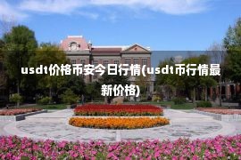 usdt价格币安今日行情(usdt币行情最新价格)