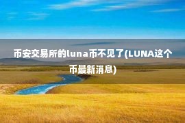 币安交易所的luna币不见了(LUNA这个币最新消息)