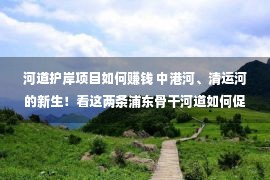 河道护岸项目如何赚钱 中港河、清运河的新生！看这两条浦东骨干河道如何促进区域协调发展