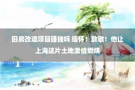 旧房改造项目赚钱吗 缅怀！致敬！他让上海这片土地激情燃烧