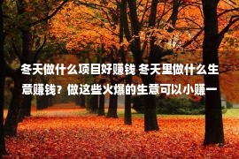 冬天做什么项目好赚钱 冬天里做什么生意赚钱？做这些火爆的生意可以小赚一把