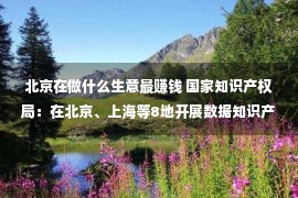 北京在做什么生意最赚钱 国家知识产权局：在北京、上海等8地开展数据知识产权工作试点