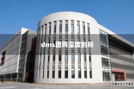 dms团购深度剖析