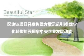 区块链项目开发构建方案示范引领 数字化转型加强国家中央企业发展动能