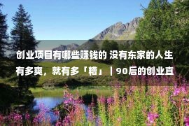 创业项目有哪些赚钱的 没有东家的人生有多爽，就有多「糟」｜90后的创业直爽局